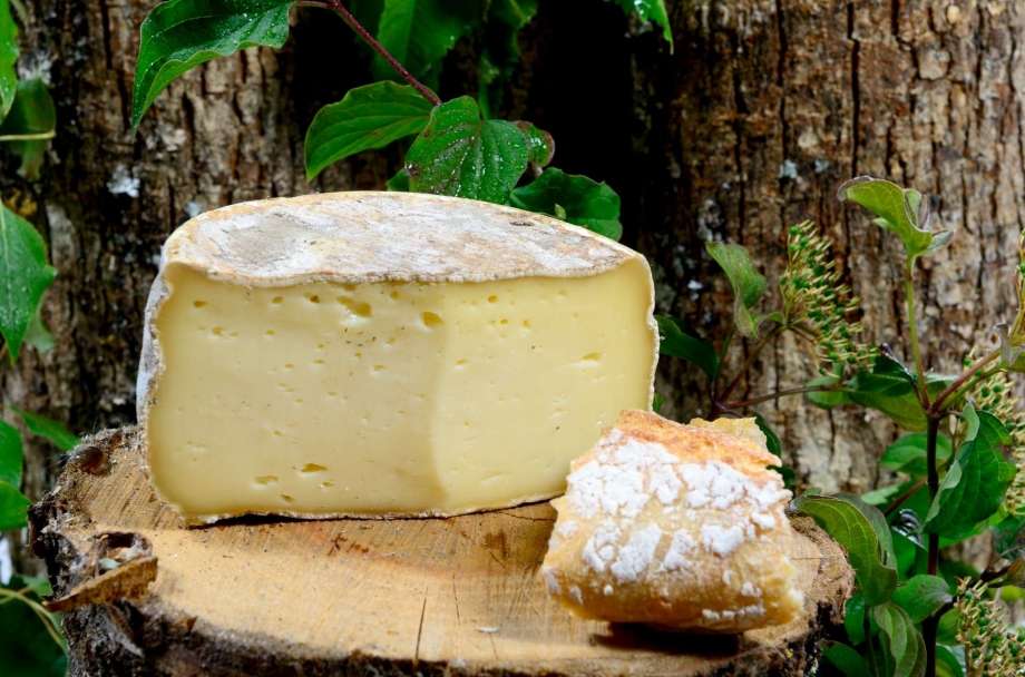 fromages